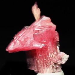 ���[�h�i�C�g��������<br> �΂�P��<br> 21x12x28(mm) (279)