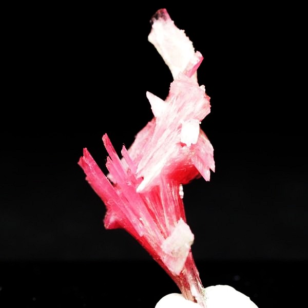 ���[�h�i�C�g�������� �΂�P�� 21x12x28(mm) (279)