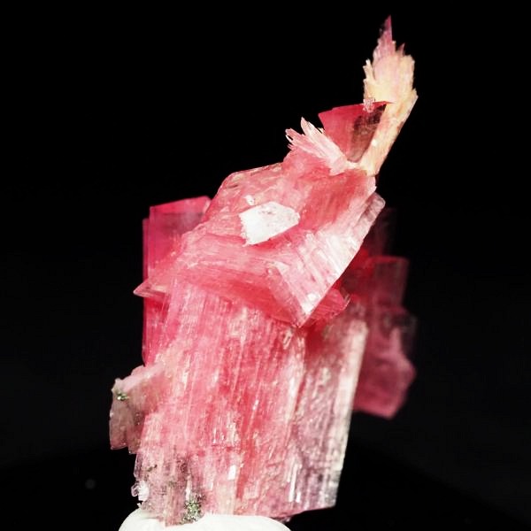 ���[�h�i�C�g�������� �΂�P�� 21x12x28(mm) (279)