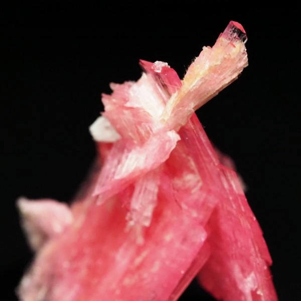 ���[�h�i�C�g�������� �΂�P�� 21x12x28(mm) (279)