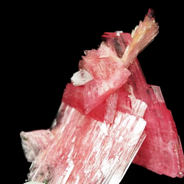 ���[�h�i�C�g�������� �΂�P�� 21x12x28(mm) (279)