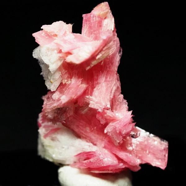 ���[�h�i�C�g�������� �΂�P�� 21x14x26(mm) (280)