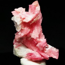 ���[�h�i�C�g��������<br> �΂�P��<br> 21x14x26(mm) (280)