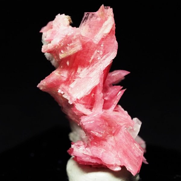 ���[�h�i�C�g�������� �΂�P�� 21x14x26(mm) (280)