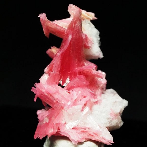 ���[�h�i�C�g�������� �΂�P�� 21x14x26(mm) (280)