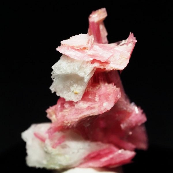 ���[�h�i�C�g�������� �΂�P�� 21x14x26(mm) (280)