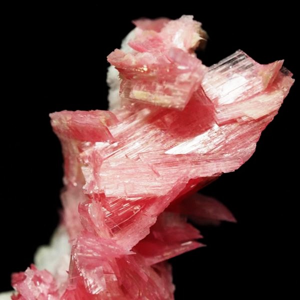 ���[�h�i�C�g�������� �΂�P�� 21x14x26(mm) (280)