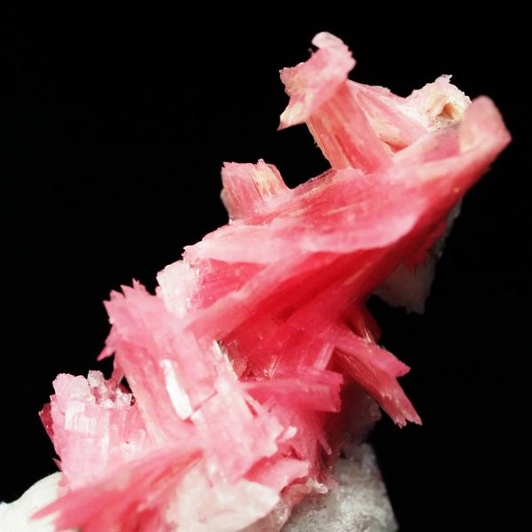 ���[�h�i�C�g�������� �΂�P�� 21x14x26(mm) (280)