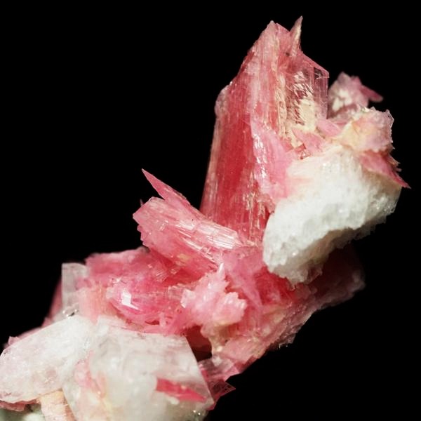 ���[�h�i�C�g�������� �΂�P�� 21x14x26(mm) (280)