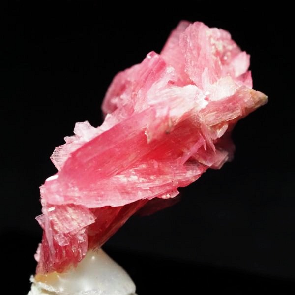 ���[�h�i�C�g�������� �΂�P�� 18x16x26(mm) (281)