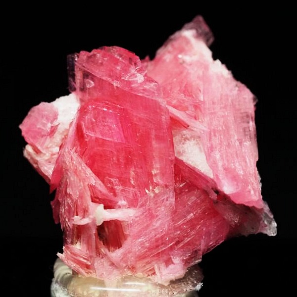 ���[�h�i�C�g�������� �΂�P�� 21x17x15(mm) (282)