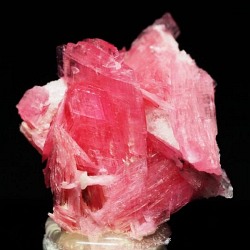 ���[�h�i�C�g��������<br> �΂�P��<br> 21x17x15(mm) (282)