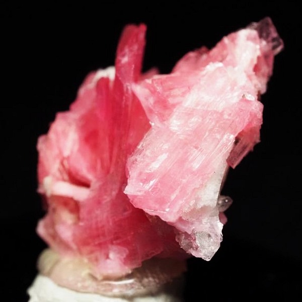 ���[�h�i�C�g�������� �΂�P�� 21x17x15(mm) (282)