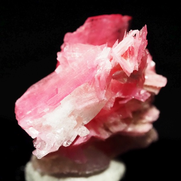 ���[�h�i�C�g�������� �΂�P�� 21x17x15(mm) (282)