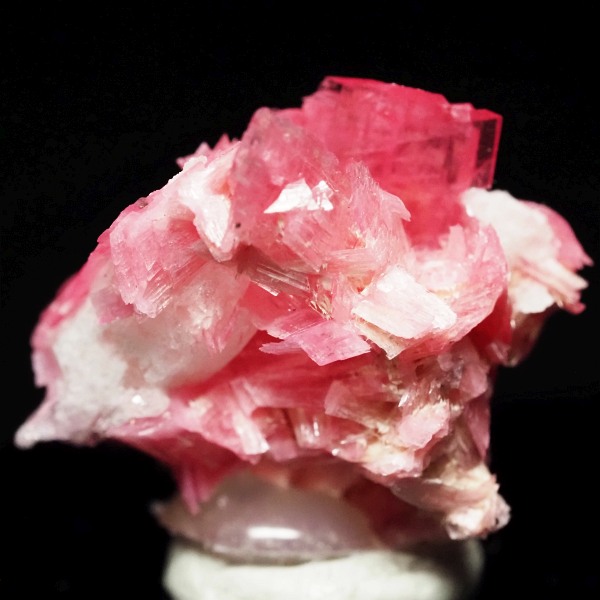 ���[�h�i�C�g�������� �΂�P�� 21x17x15(mm) (282)