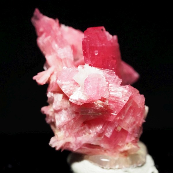 ���[�h�i�C�g�������� �΂�P�� 21x17x15(mm) (282)