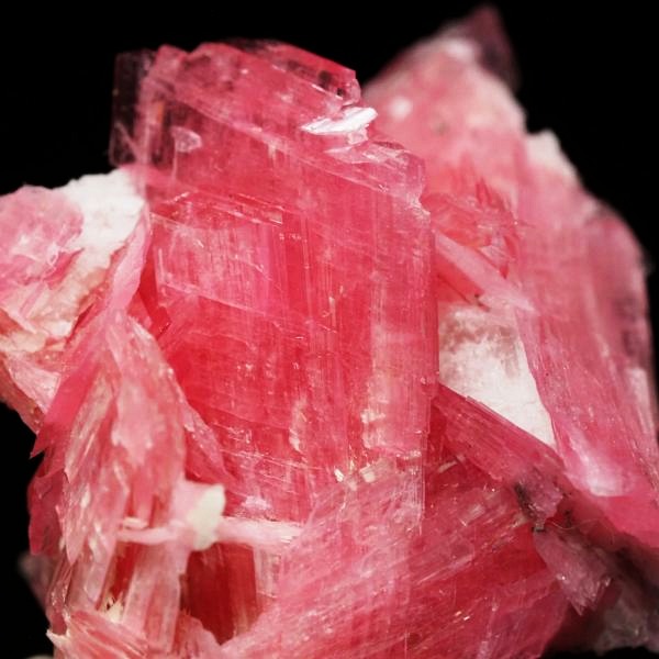 ���[�h�i�C�g�������� �΂�P�� 21x17x15(mm) (282)