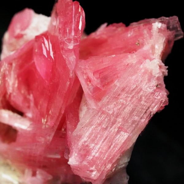 ���[�h�i�C�g�������� �΂�P�� 21x17x15(mm) (282)