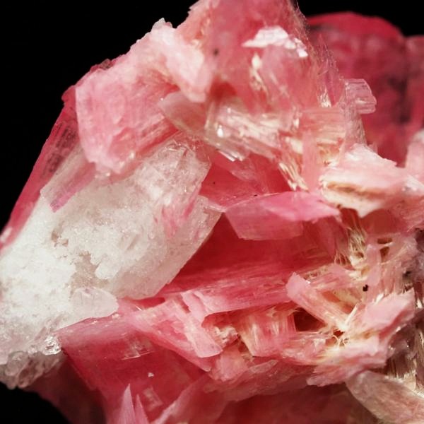 ���[�h�i�C�g�������� �΂�P�� 21x17x15(mm) (282)