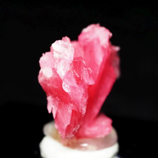 ���[�h�i�C�g�������� �΂�P�� 23x10x19(mm) (283)