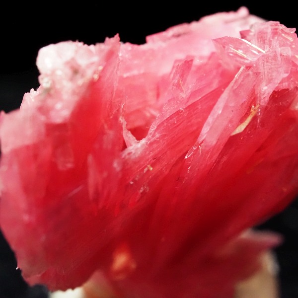 ���[�h�i�C�g�������� �΂�P�� 23x10x19(mm) (283)