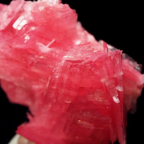 ���[�h�i�C�g�������� �΂�P�� 23x10x19(mm) (283)