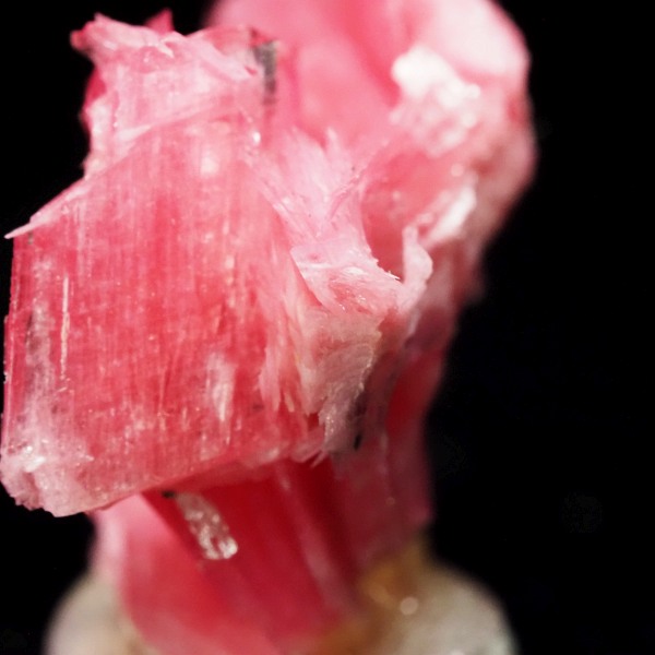 ���[�h�i�C�g�������� �΂�P�� 23x10x19(mm) (283)