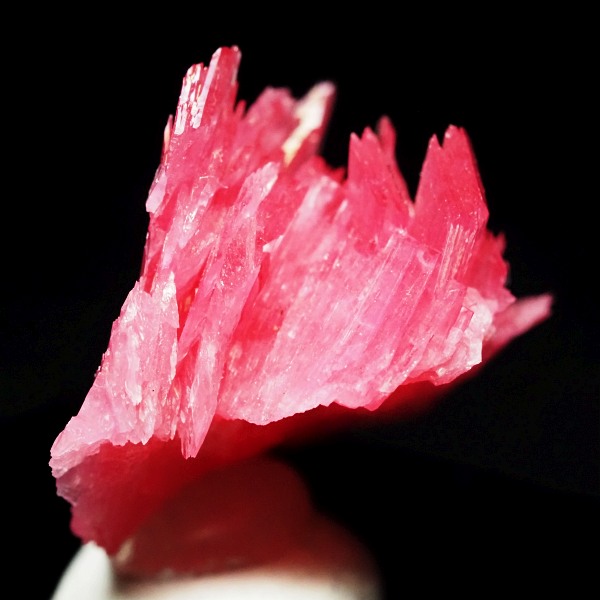 ���[�h�i�C�g�������� �΂�P�� 18x14x18.5(mm) (284)