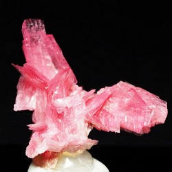 ���[�h�i�C�g��������<br> �΂�P��<br> 26.5x20x21.5(mm) (285)