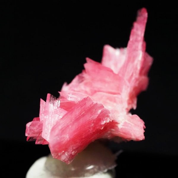 ���[�h�i�C�g�������� �΂�P�� 26.5x20x21.5(mm) (285)