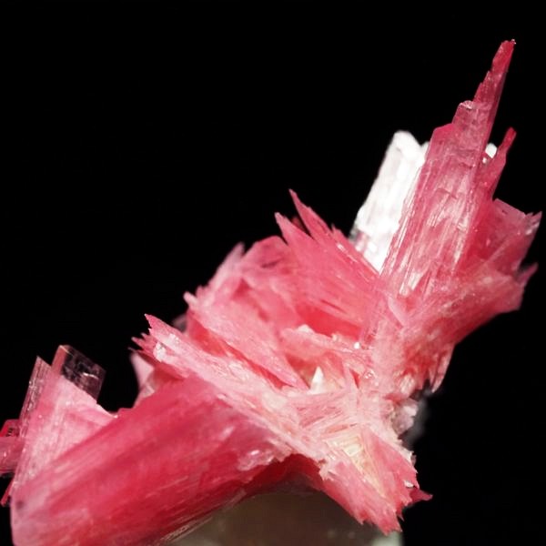 ���[�h�i�C�g�������� �΂�P�� 26.5x20x21.5(mm) (285)