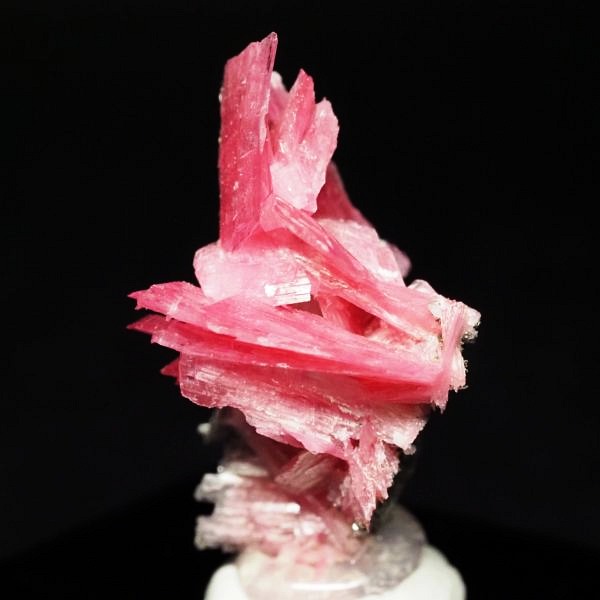 ���[�h�i�C�g�������� �΂�P�� 19x17x28(mm) (286)