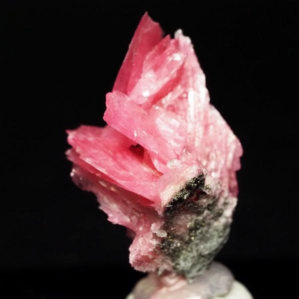 ���[�h�i�C�g�������� �΂�P�� 19x17x28(mm) (286)