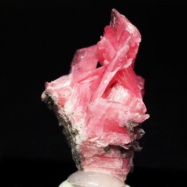 ���[�h�i�C�g�������� �΂�P�� 19x17x28(mm) (286)