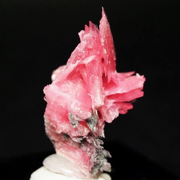 ���[�h�i�C�g�������� �΂�P�� 19x17x28(mm) (286)