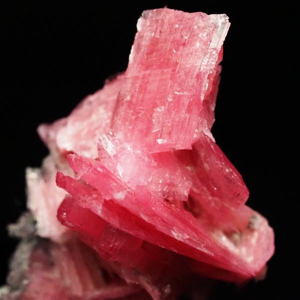 ���[�h�i�C�g�������� �΂�P�� 19x17x28(mm) (286)