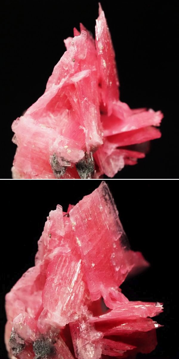 ���[�h�i�C�g�������� �΂�P�� 19x17x28(mm) (286)