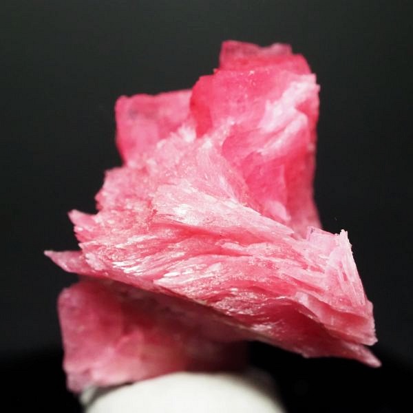 ���[�h�i�C�g�������� �΂�P�� 20x18x23(mm) (287)