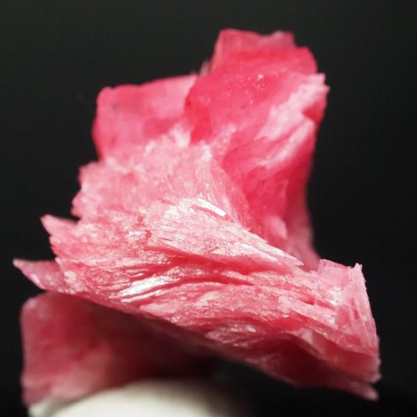 ���[�h�i�C�g�������� �΂�P�� 20x18x23(mm) (287)