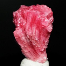 ���[�h�i�C�g��������<br> �΂�P��<br> 19x18.5x27(mm) (288)