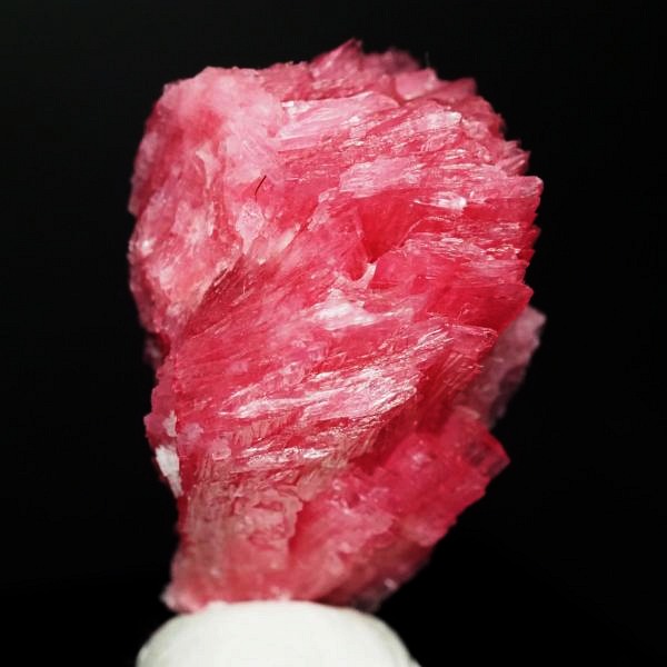 ���[�h�i�C�g�������� �΂�P�� 19x18.5x27(mm) (288)