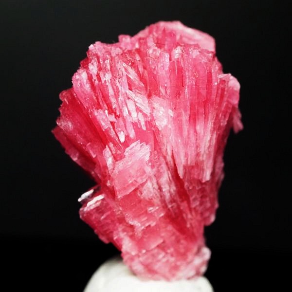 ���[�h�i�C�g�������� �΂�P�� 19x18.5x27(mm) (288)