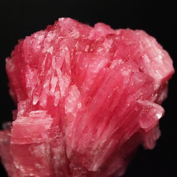 ���[�h�i�C�g�������� �΂�P�� 19x18.5x27(mm) (288)