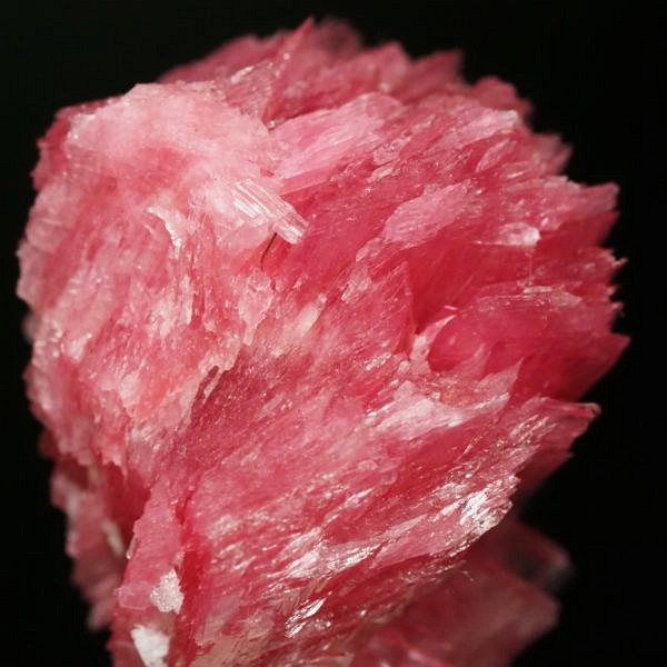 ���[�h�i�C�g�������� �΂�P�� 19x18.5x27(mm) (288)