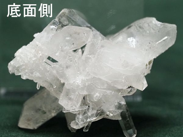 OXEC^[tFXNH[c VA/_lSXNY 16.3g (ru248)