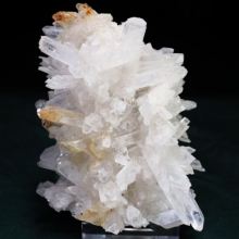 OXEC^[tFXNH[c<br>tNH[ct<br> VA/_lSXNY<br> 256g (ru254)
