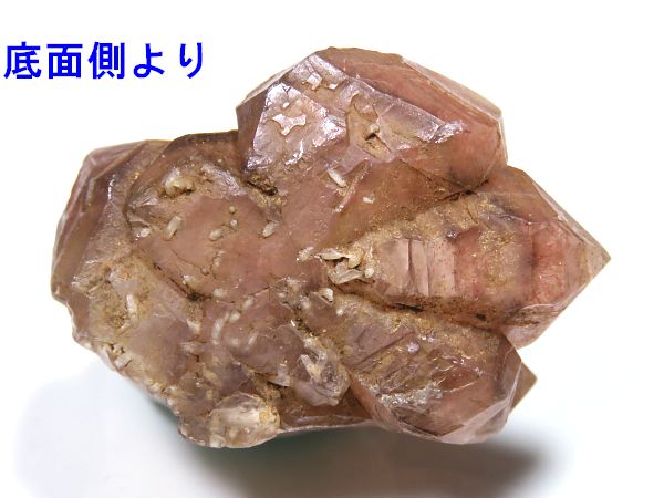Xgx[NH[c JUtX^Y i 14.6g (1)