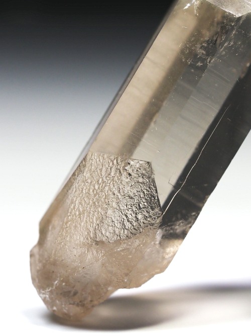 X[L[NH[c XCXAvXP 62mm 35.3g (9-4)