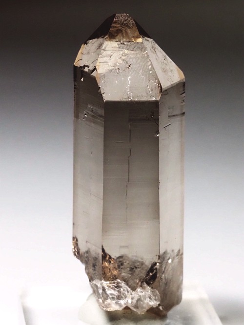 �X���[�L�[�N�H�[�c�X�C�X�A���v�X�����P���� 62mm 41g (36-42)