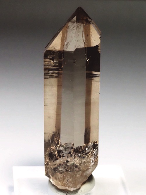 �X���[�L�[�N�H�[�c�X�C�X�A���v�X�����P���� 62mm 41g (36-42)